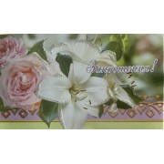 Запрошення  - ПрТ-482