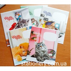 Зошит, 12 арк., клітинка, MEOW POWER, 2780, ШКОЛЯРИК, №03