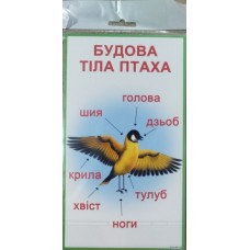 Комплект карток "Птахи" - Km-89