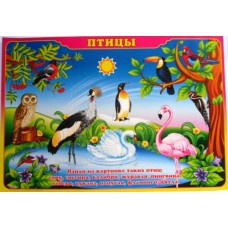 Плакат А-2 (картон) "Птицы" ЭУ-П-31