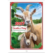 Календар перекидний настінний на спіралі - 2027 (32х43 см, спіраль) "Символ року" - А3-08