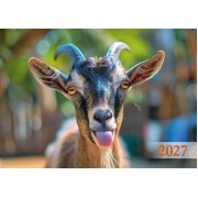 Кишеньковий календар мікс (90шт) на 2026 рік , KK-01