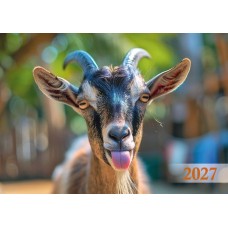 Кишеньковий календар мікс (90шт) на 2026 рік , KK-01