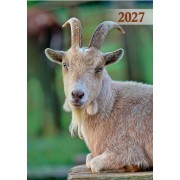 Кишеньковий календар мікс (90шт) на 2026 рік , KK-02