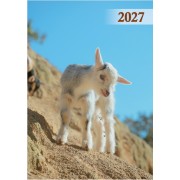 Кишеньковий календар мікс (90шт) на 2026 рік , KK-03