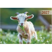 Кишеньковий календар мікс (90шт) на 2026 рік , KK-04